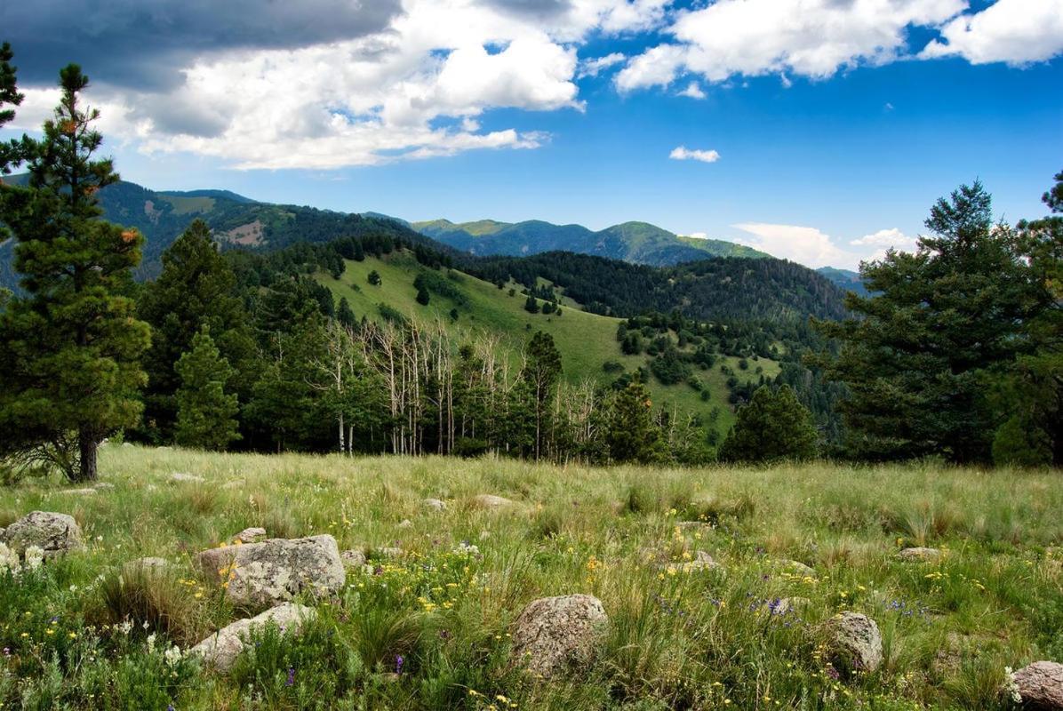 Cozy Cabin, 2 Bedrooms, Fireplace, Midtown, Sleeps 5 Ruidoso Eksteriør bilde